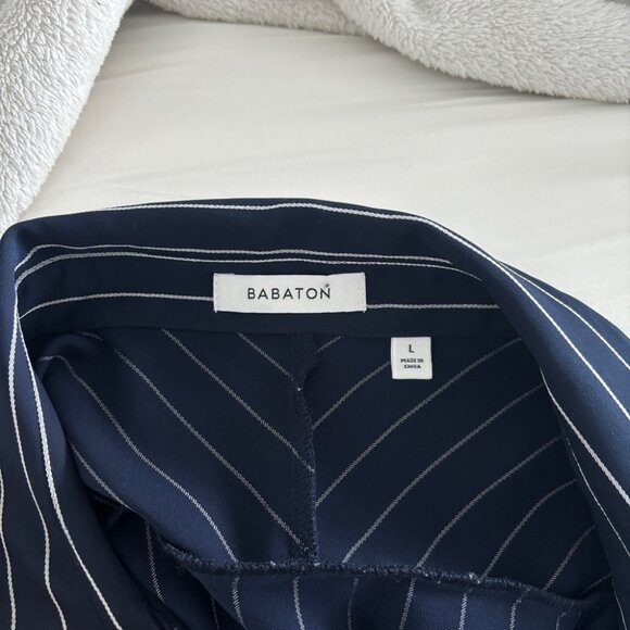 Aritzia Babaton Kearney Oversized Casual Button Down Shirt - Picture 6 of 9